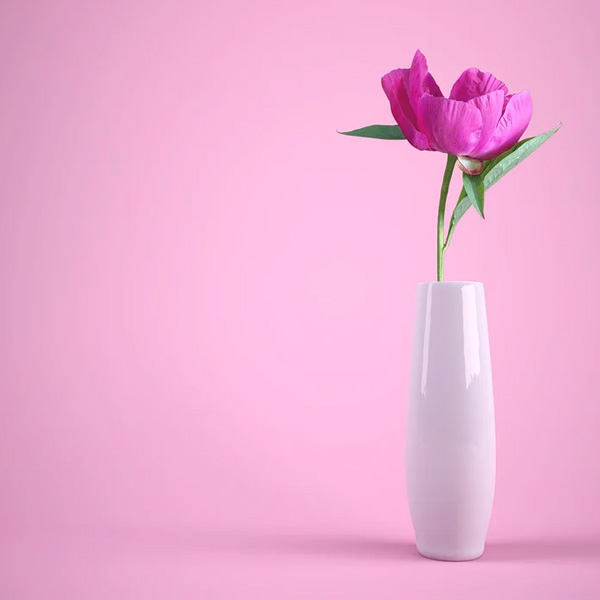 Аватарка Цветок в вазе